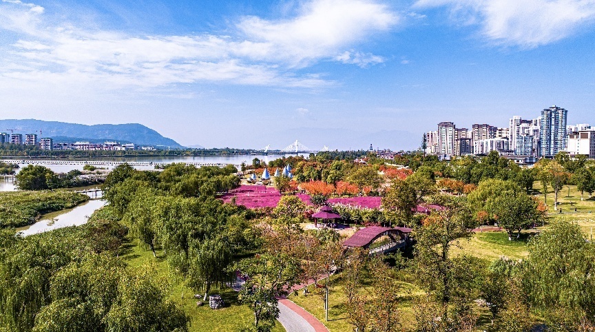 步入公園，仿佛走進(jìn)“色彩的世界”。王淦攝（資料圖片）