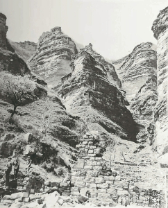 點(diǎn)擊放大